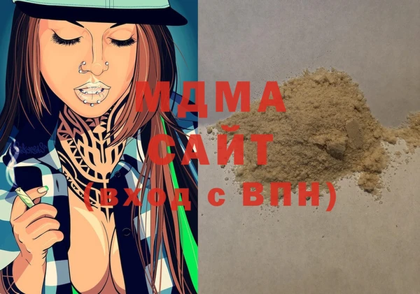 шишки Магас