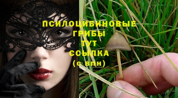 ECSTASY Аша
