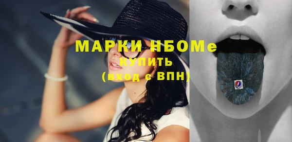 шишки Магас