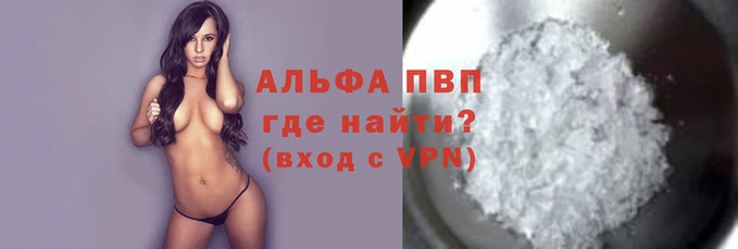 шишки Магас