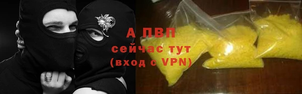 прущие грибы Мегион