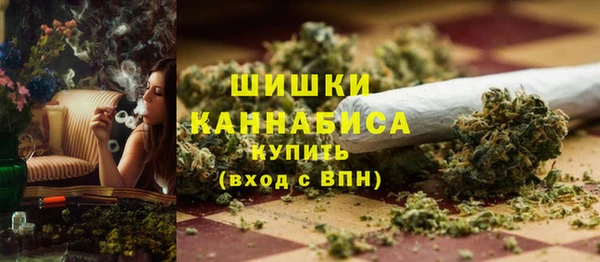прущие грибы Мегион