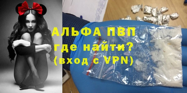 прущие грибы Мегион
