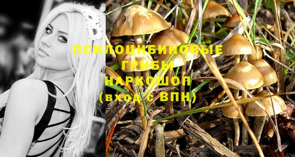 метадон Майский