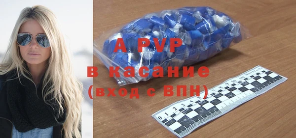 шишки Магас