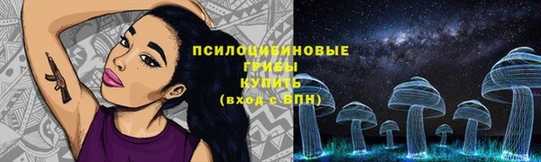 прущие грибы Мегион