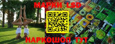 индика Волжский