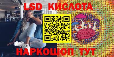 шишки Волжск