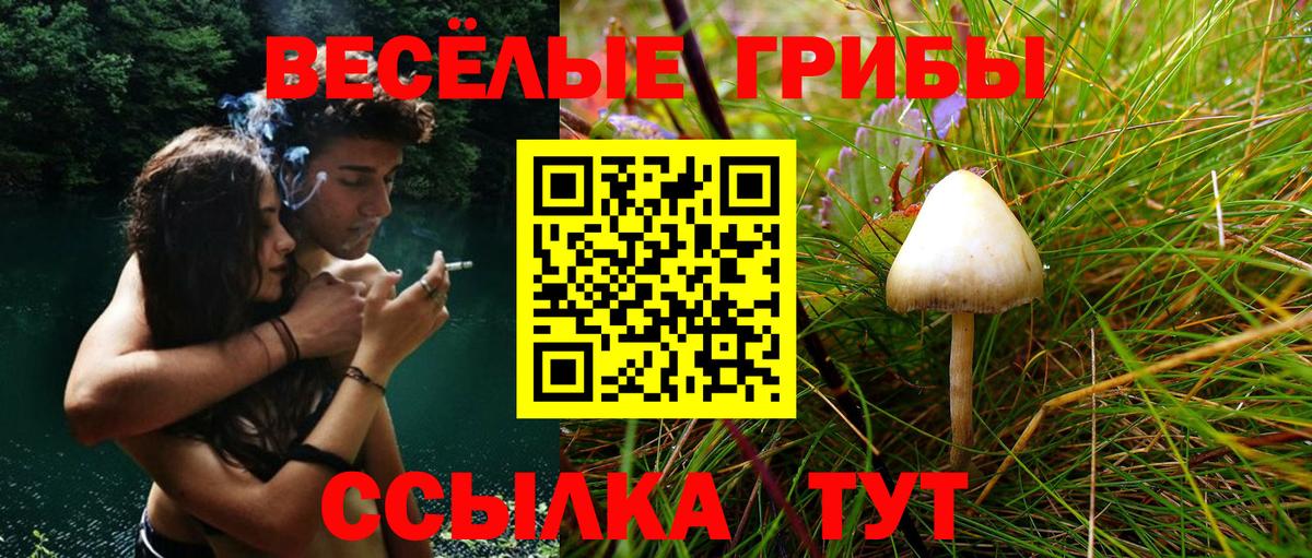 Псилоцибиновые грибы Psilocybe Учалы
